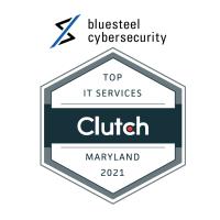 BlueSteel Cybersecurity image 2